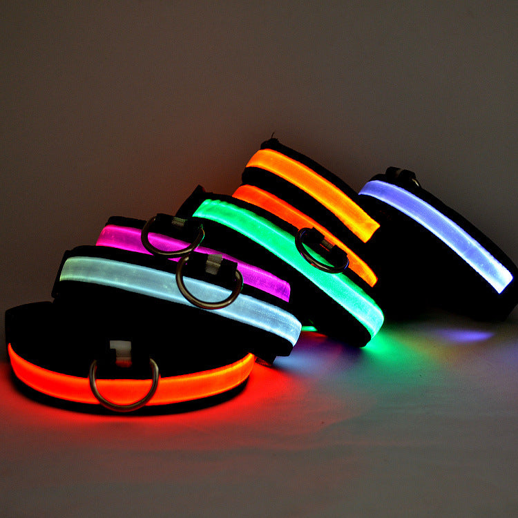 Collar Luminoso LED para Mascotas con Carga USB