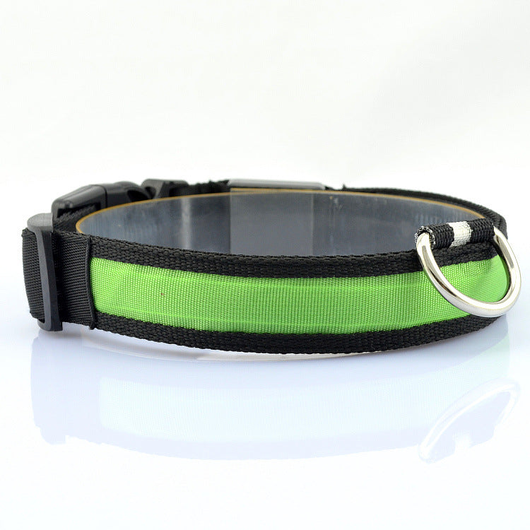 Collar Luminoso LED para Mascotas con Carga USB