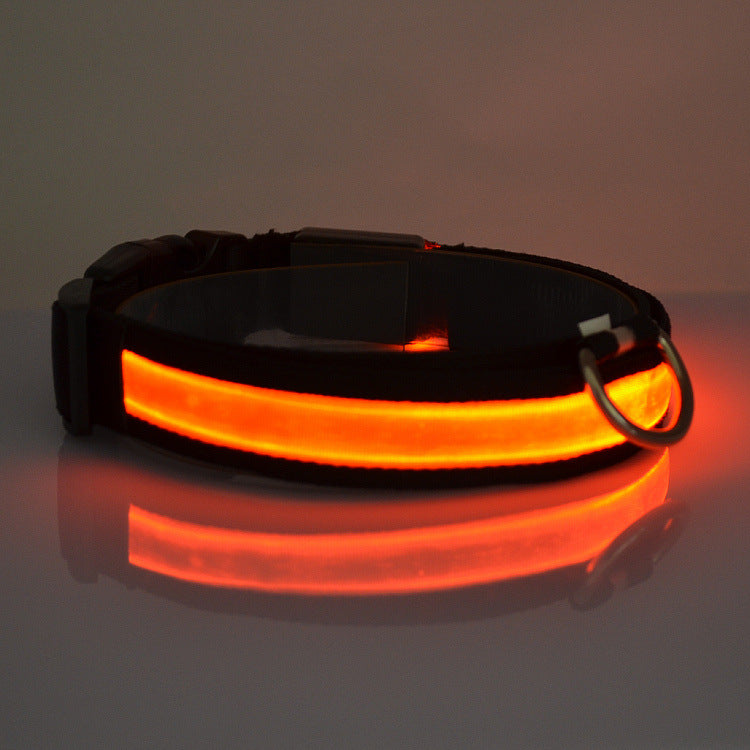 Collar Luminoso LED para Mascotas con Carga USB