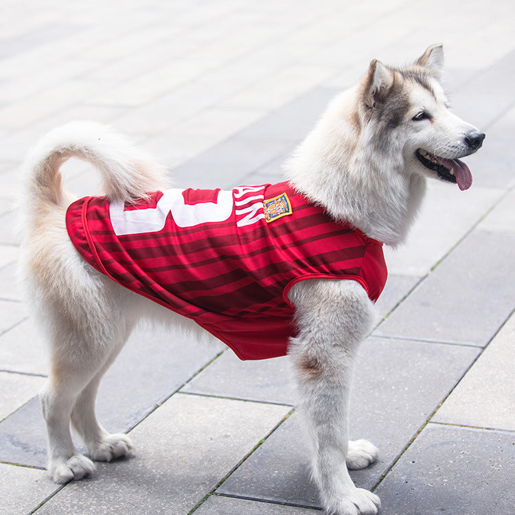 Abrigo Impermeable para Perros