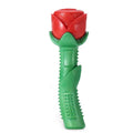 Juguete Masticable Cepillo de Dientes para Perros