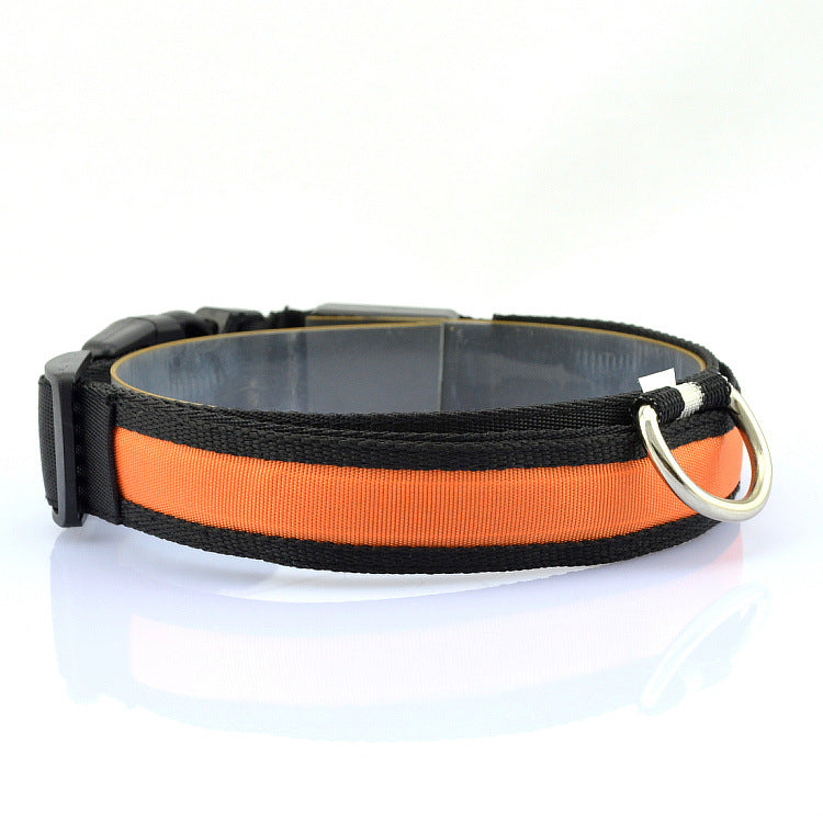 Collar Luminoso LED para Mascotas con Carga USB