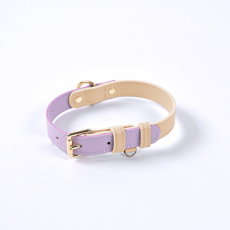 Conjunto Collar y Correa de Cuero Genuino para Perros y Gatos
