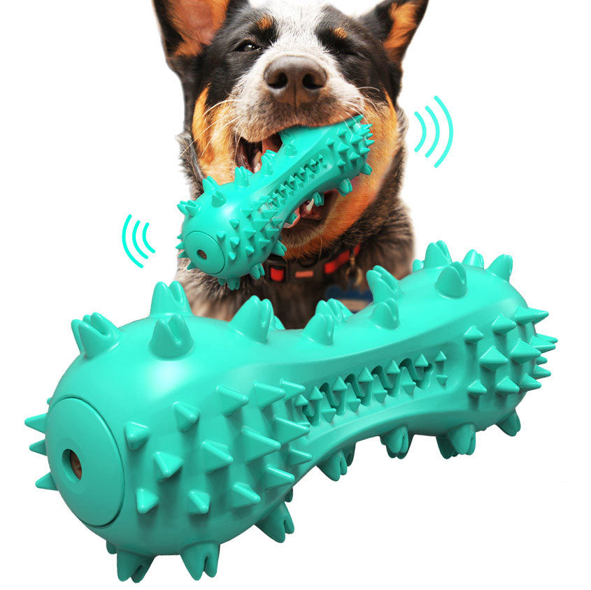 Juguete Mordedor Cepillo de Dientes para Perros