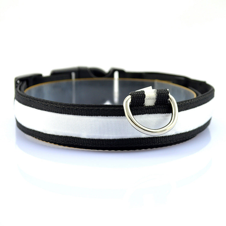 Collar Luminoso LED para Mascotas con Carga USB