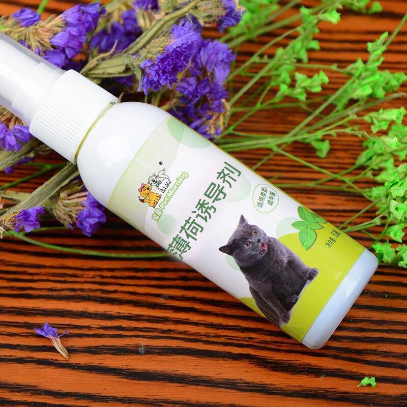 Spray de Hierba Gatera para Gatos