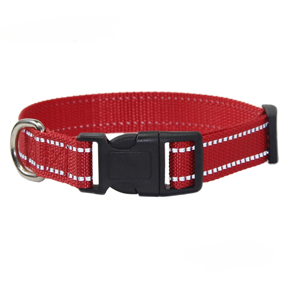 Conjunto de Collar y Correa de Nylón para Perros