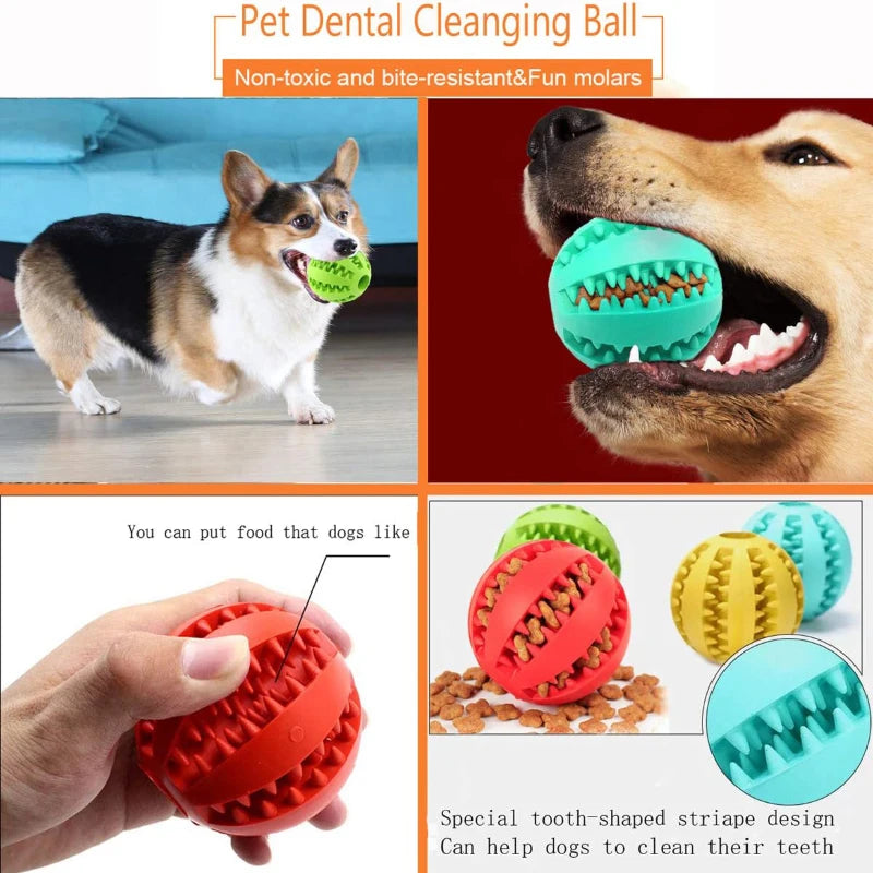 Pelota de Goma Interactiva para Perros