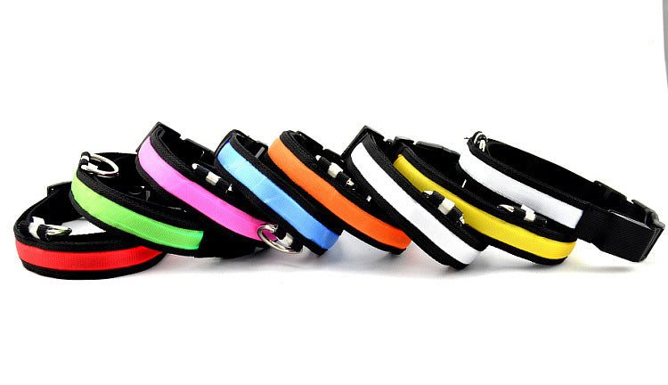 Collar Luminoso LED para Mascotas con Carga USB