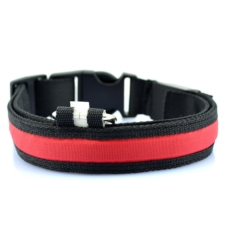 Collar Luminoso LED para Mascotas con Carga USB