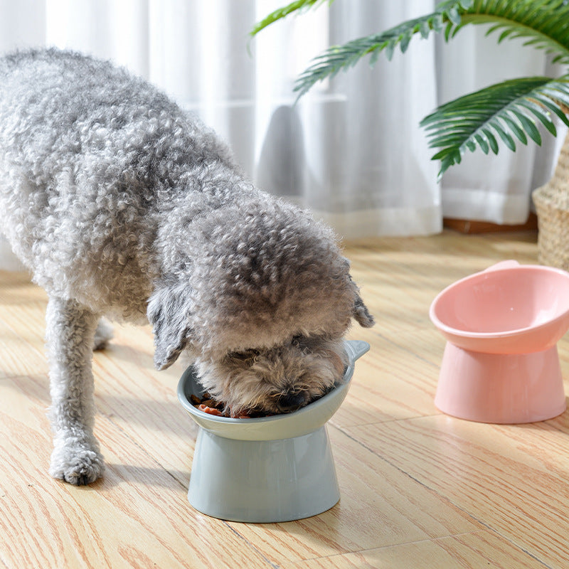 Comedero Elevado para Gatos y Perros - Diseño Ergonómico Antivómito