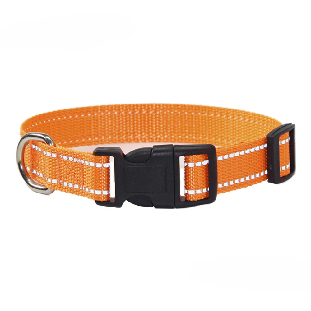Conjunto de Collar y Correa de Nylón para Perros