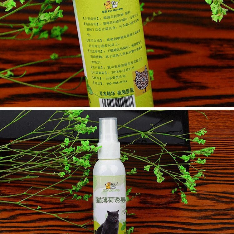 Spray de Hierba Gatera para Gatos