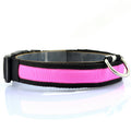 Collar Luminoso LED para Mascotas con Carga USB