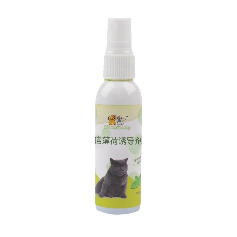 Spray de Hierba Gatera para Gatos