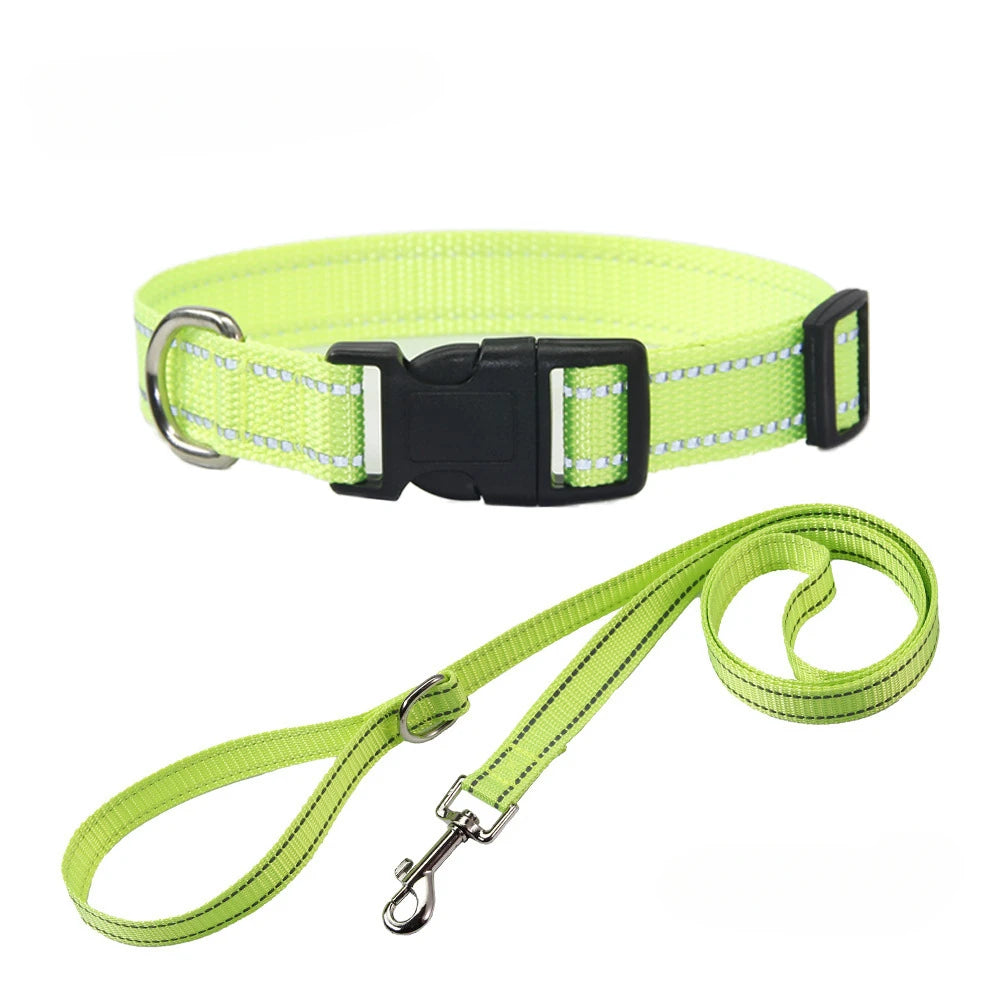 Conjunto de Collar y Correa de Nylón para Perros