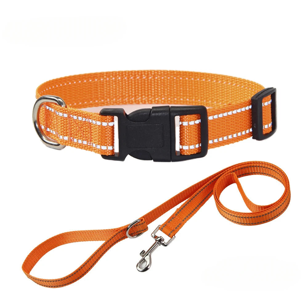 Conjunto de Collar y Correa de Nylón para Perros