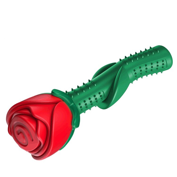 Juguete Masticable Cepillo de Dientes para Perros