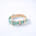 Conjunto Collar y Correa de Cuero Genuino para Perros y Gatos