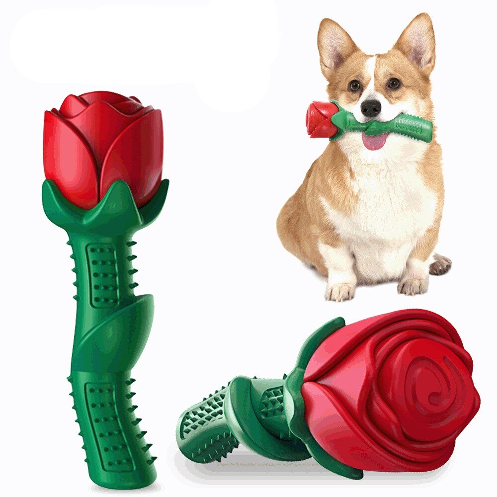 Juguete Masticable Cepillo de Dientes para Perros