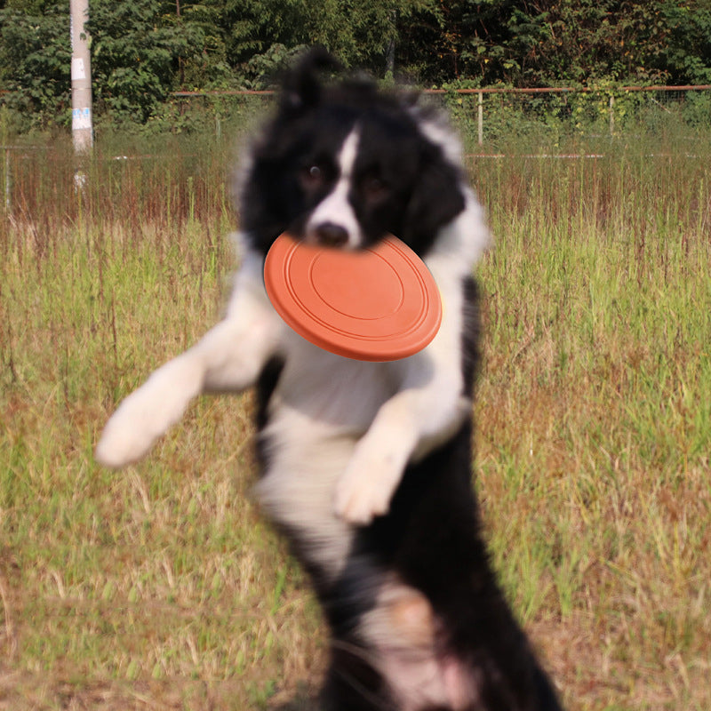 Frisbee Interactivo para Perros