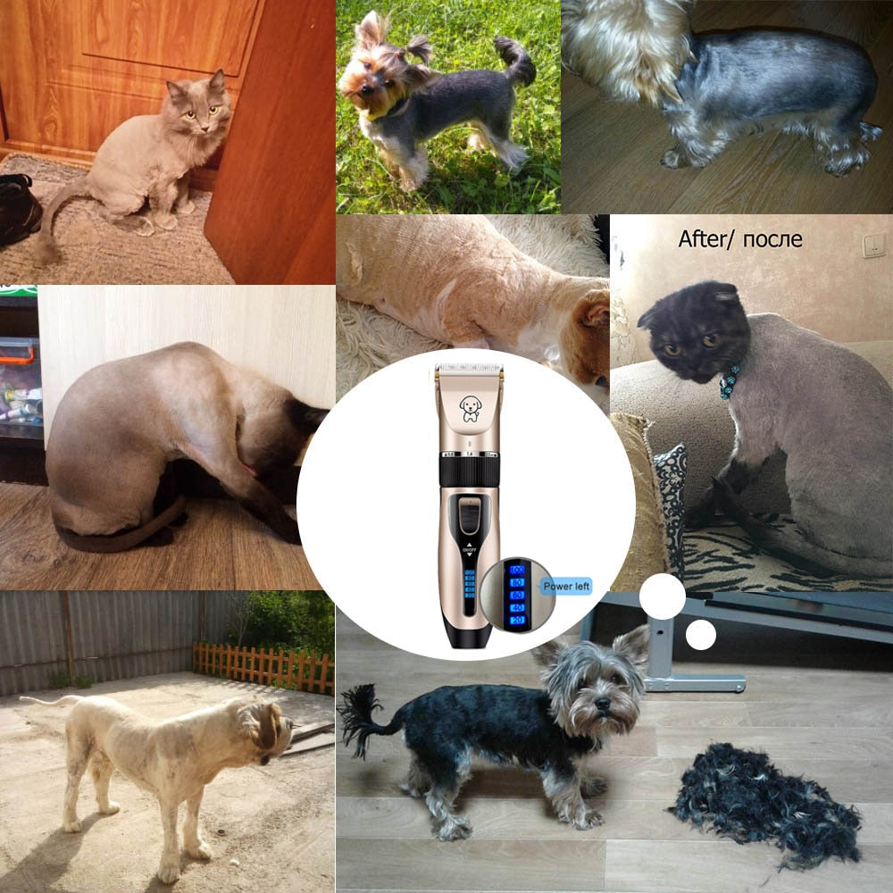 Cortapelos Profesional para Perros y Gatos