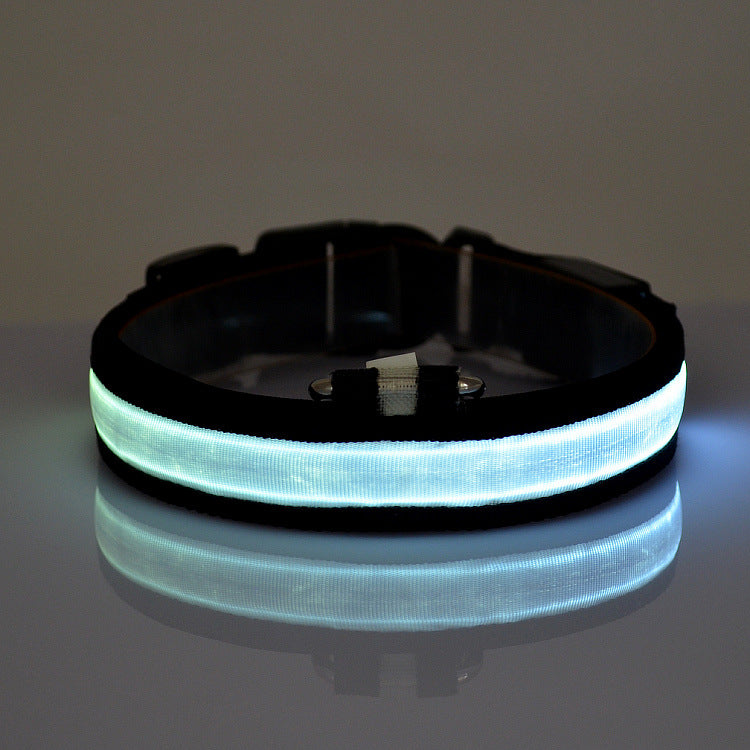 Collar Luminoso LED para Mascotas con Carga USB