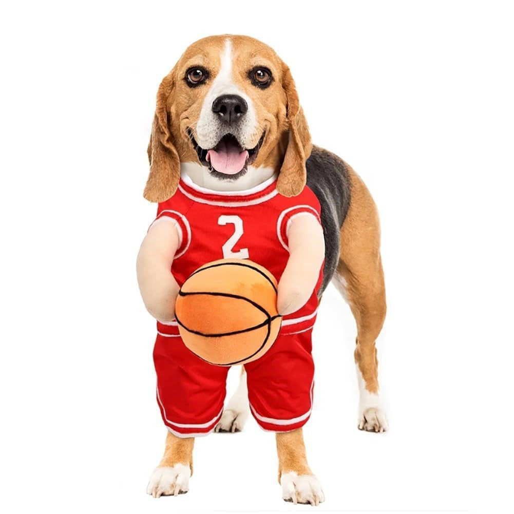 Disfraz de Baloncesto para Perros