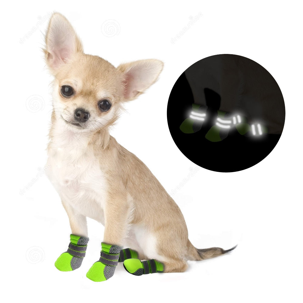 Botas Impermeables para Perros Pequeños