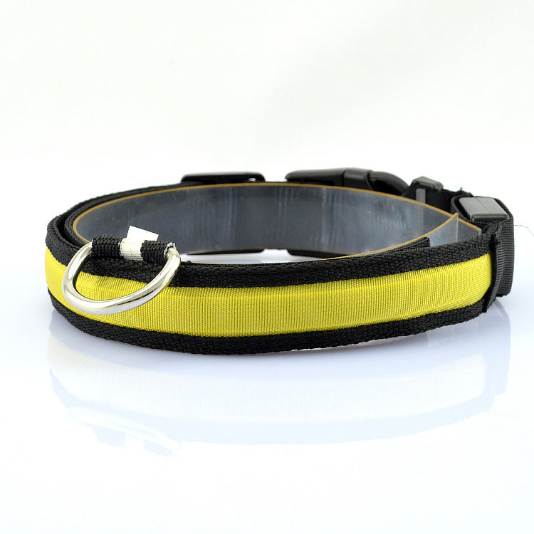 Collar Luminoso LED para Mascotas con Carga USB