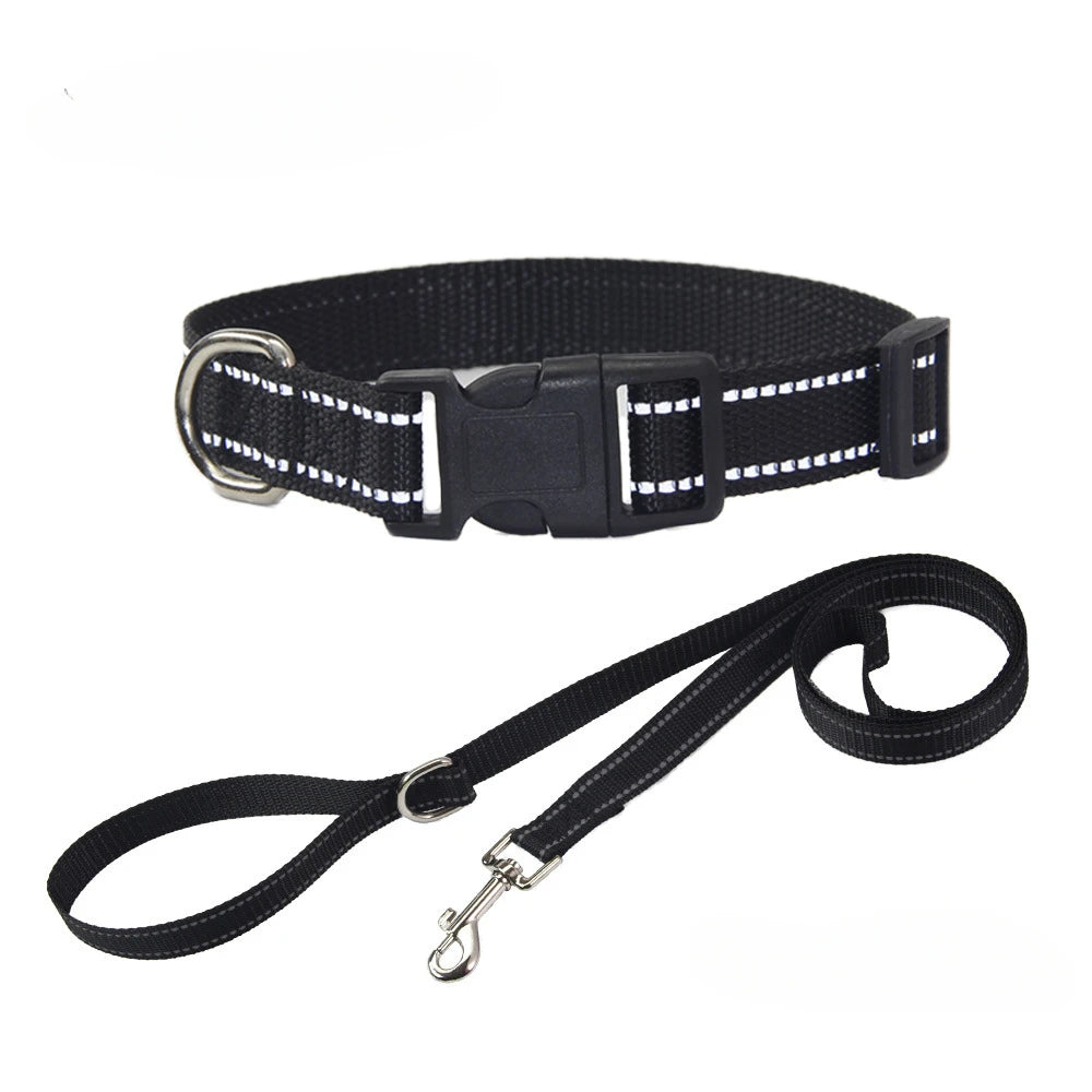 Conjunto de Collar y Correa de Nylón para Perros