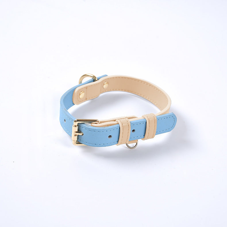 Conjunto Collar y Correa de Cuero Genuino para Perros y Gatos