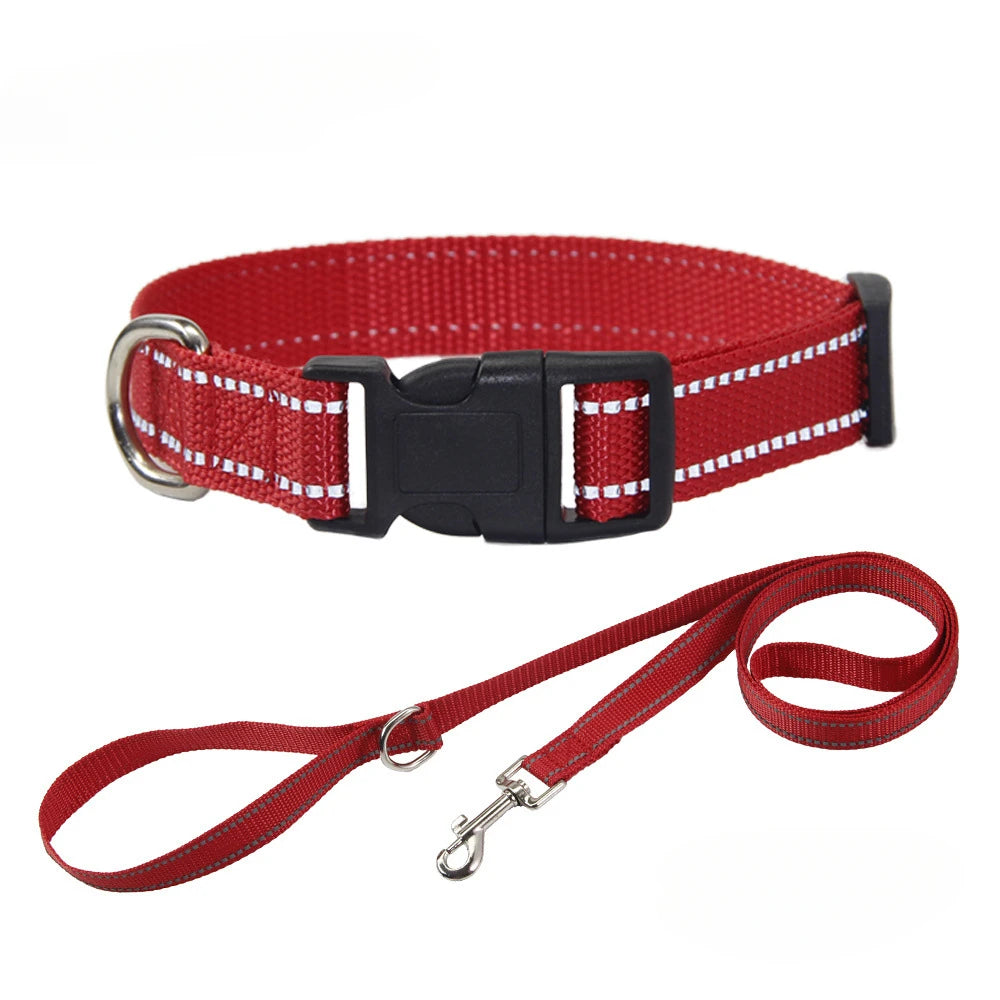 Conjunto de Collar y Correa de Nylón para Perros