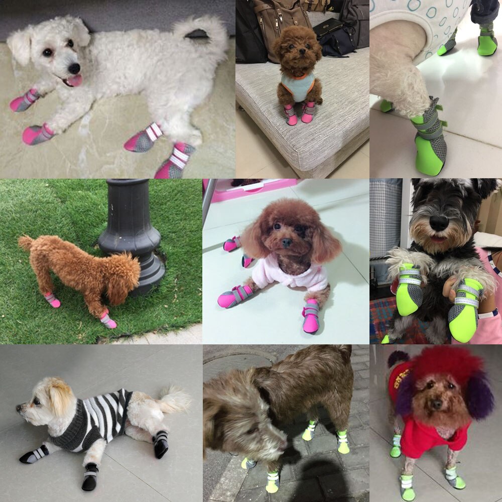 Botas Impermeables para Perros Pequeños