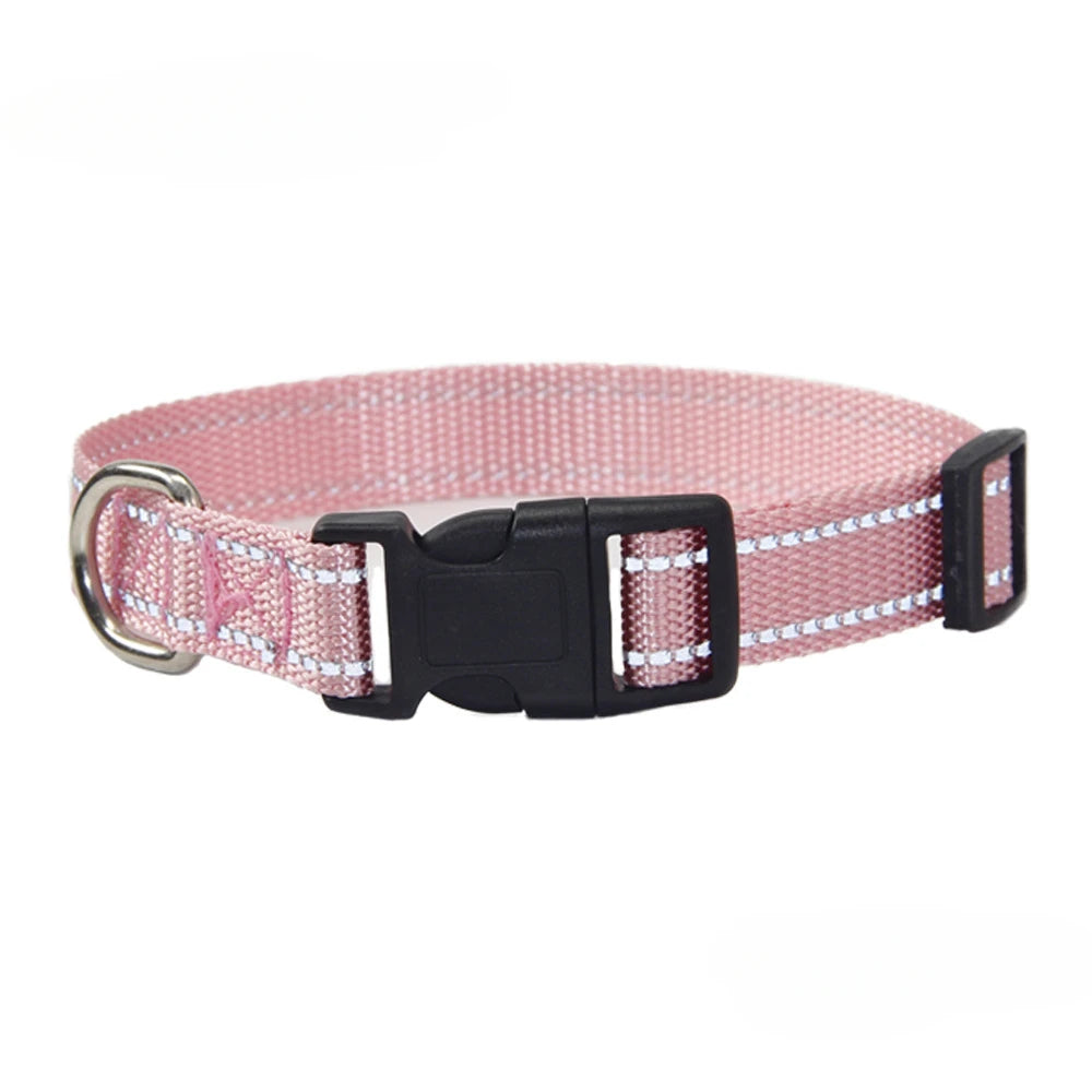 Conjunto de Collar y Correa de Nylón para Perros