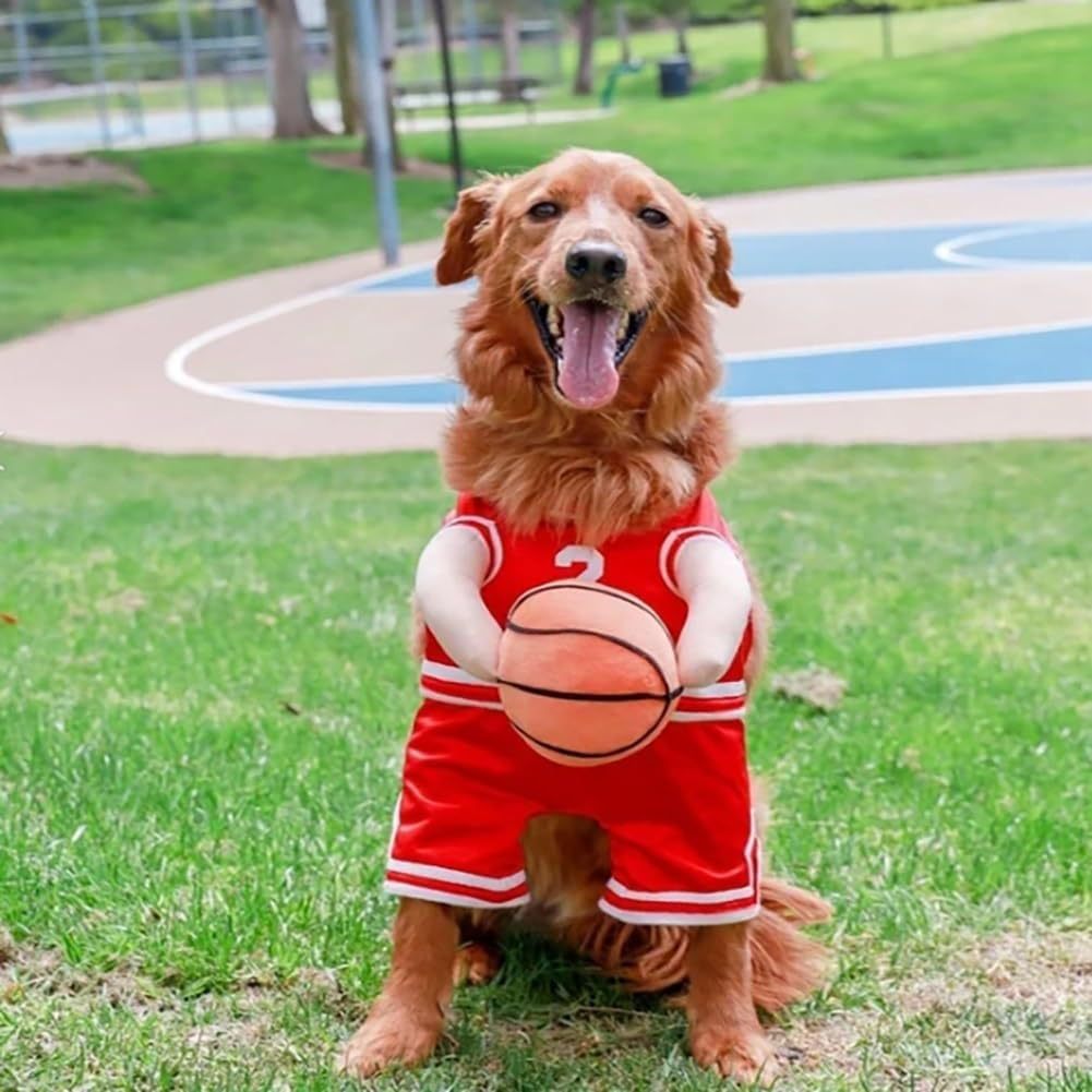 Disfraz de Baloncesto para Perros
