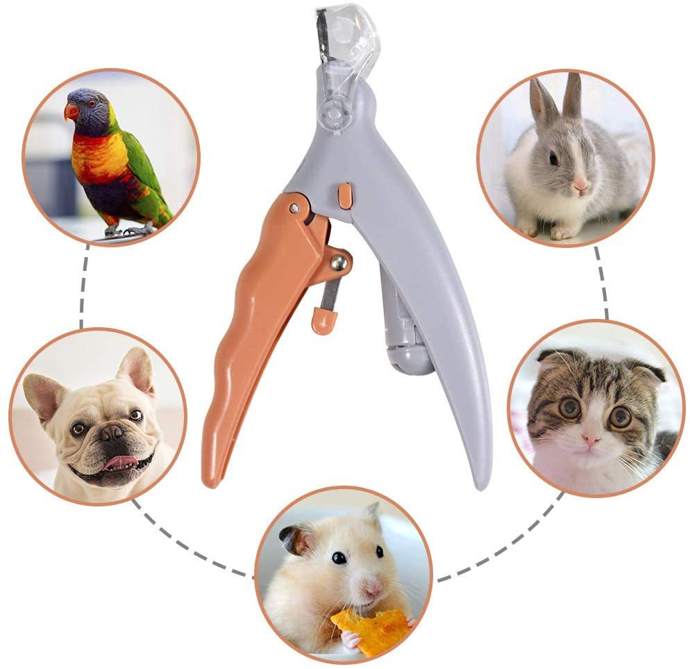 Peti Nail clipper Pet LED Lighted Nail Clipper Cat & Dog Cleaning Scissors Beauty Glow Nail Clipper