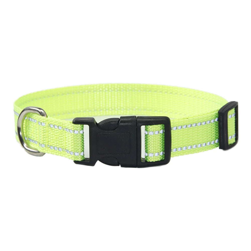 Conjunto de Collar y Correa de Nylón para Perros