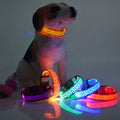 Collar LED Luminoso para Perros