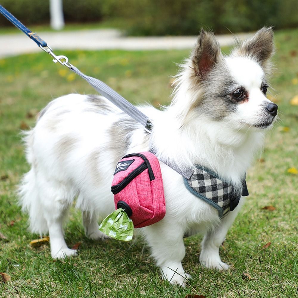 Bolsa Portátil para Premios de Adiestramiento Canino