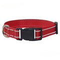 Conjunto de Collar y Correa de Nylón para Perros