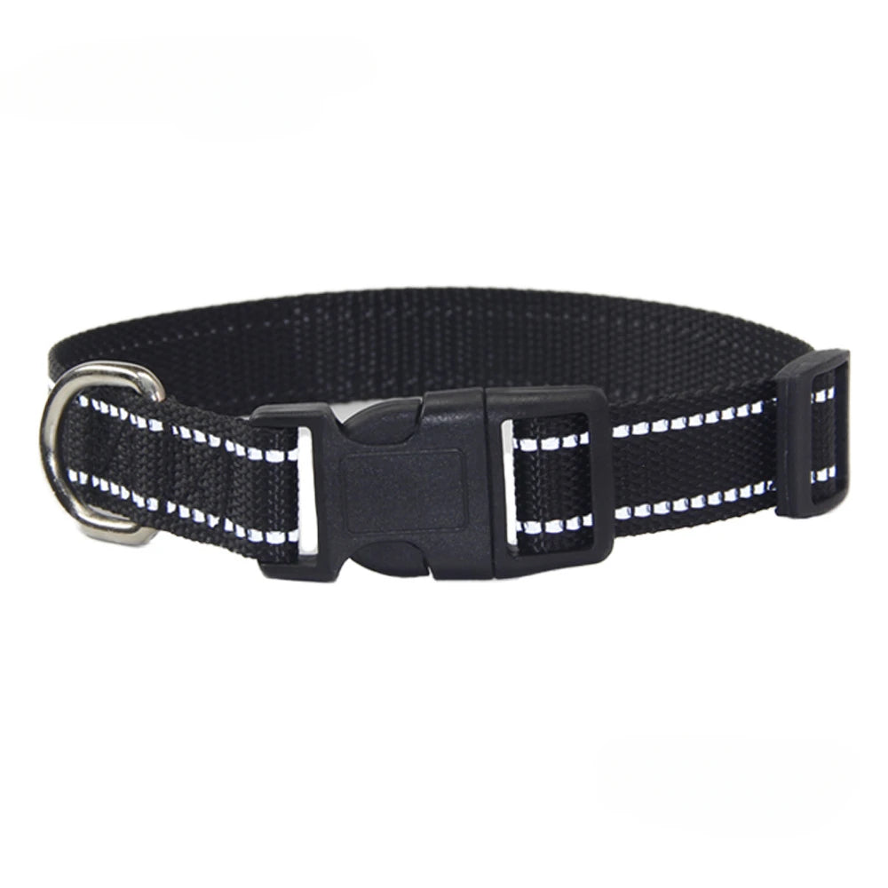 Conjunto de Collar y Correa de Nylón para Perros