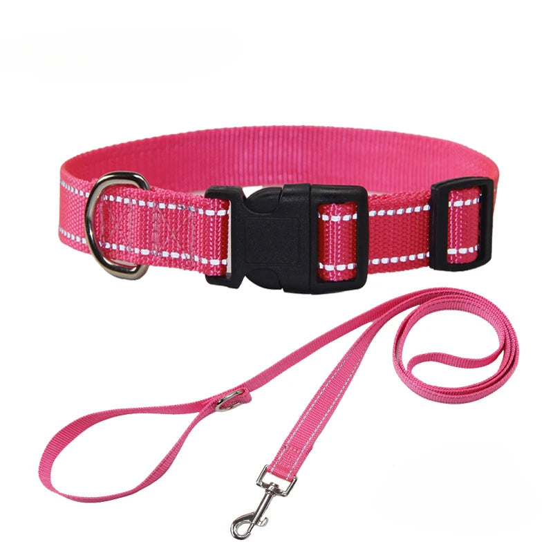 Conjunto de Collar y Correa de Nylón para Perros