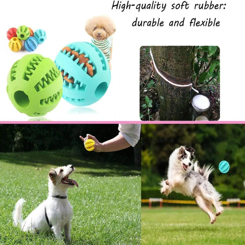 Pelota de Goma Interactiva para Perros